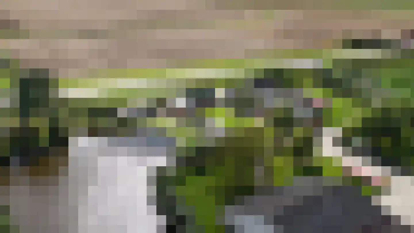 Provincialeweg 16 Vogelwaarde thumbnail 37