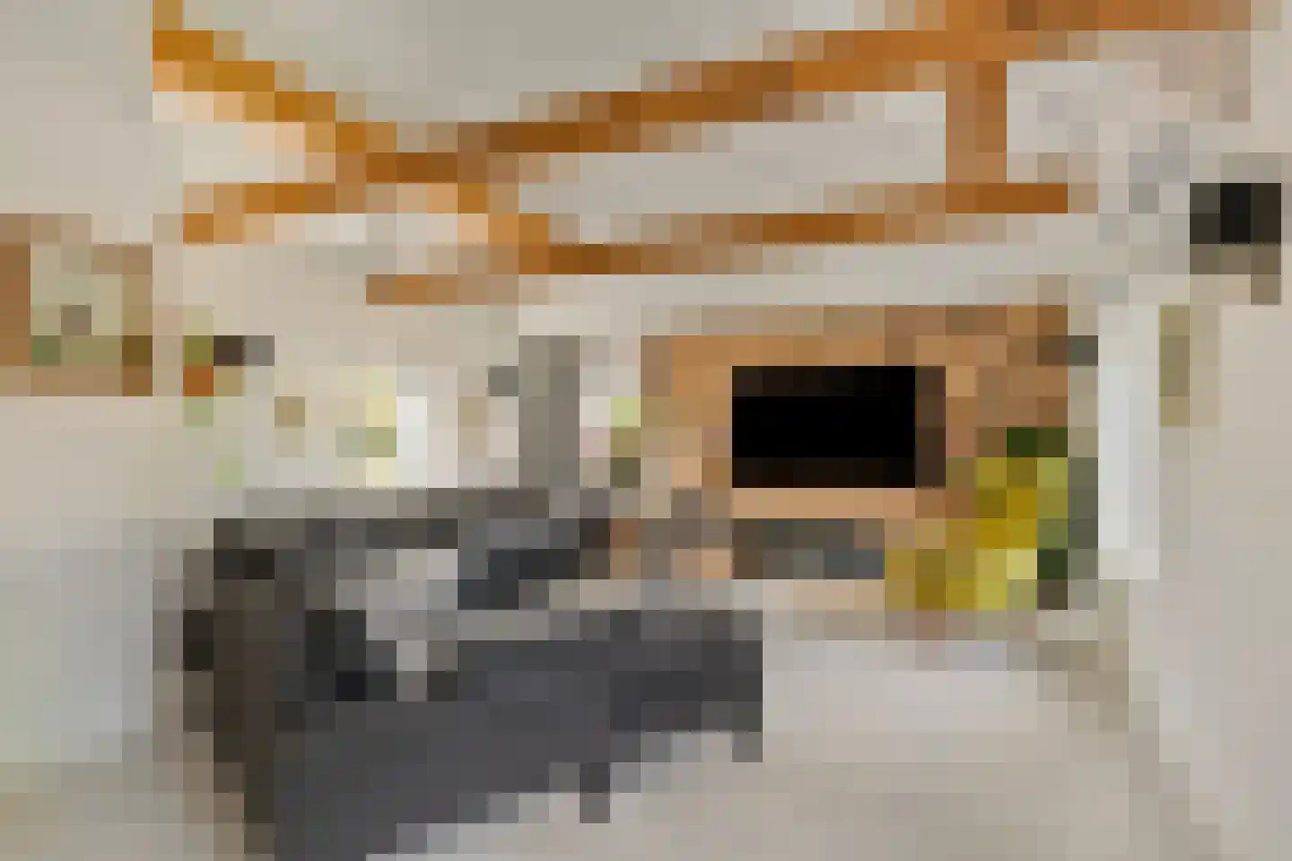 Provincialeweg 16 Vogelwaarde thumbnail 9