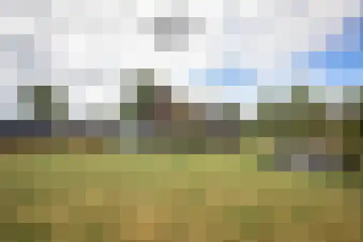 Provincialeweg 173 Opende thumbnail 41