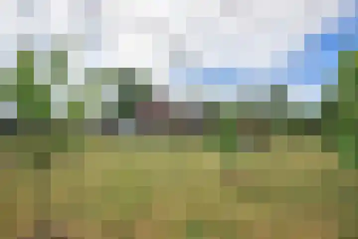 Provincialeweg 173 Opende thumbnail 42