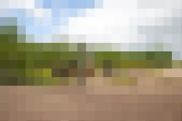 Provincialeweg 173 Opende thumbnail 43