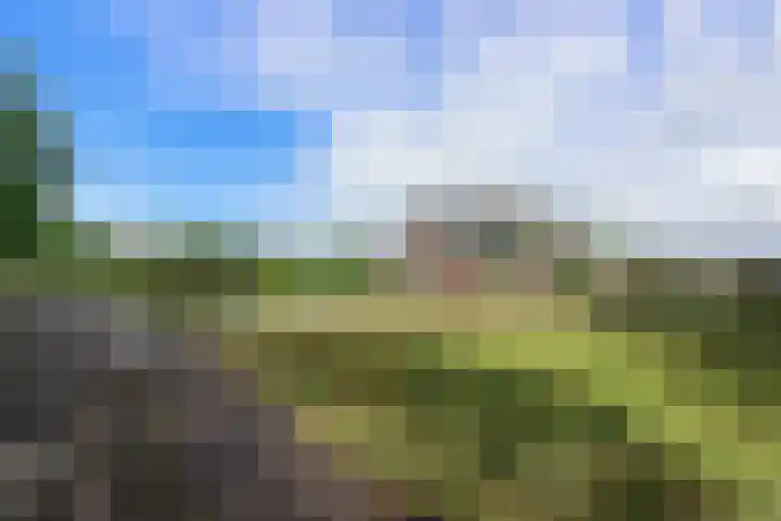Provincialeweg 173 Opende thumbnail 5