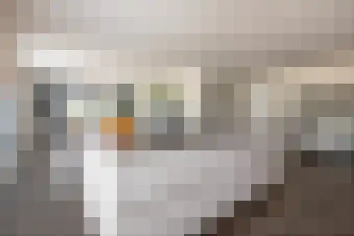 Provincialeweg 173 Opende thumbnail 7