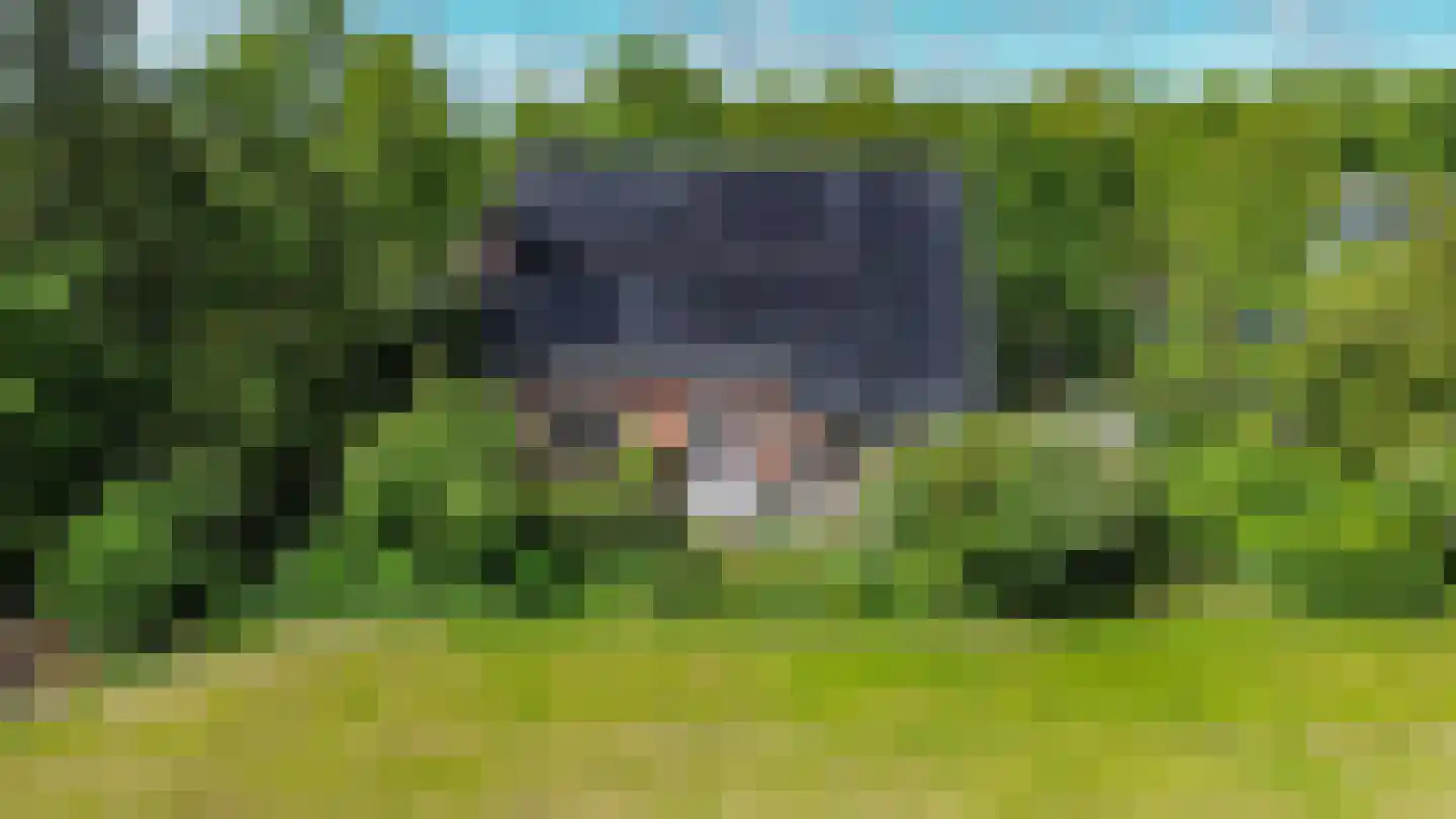 Provincialeweg 19 A Adorp thumbnail 10