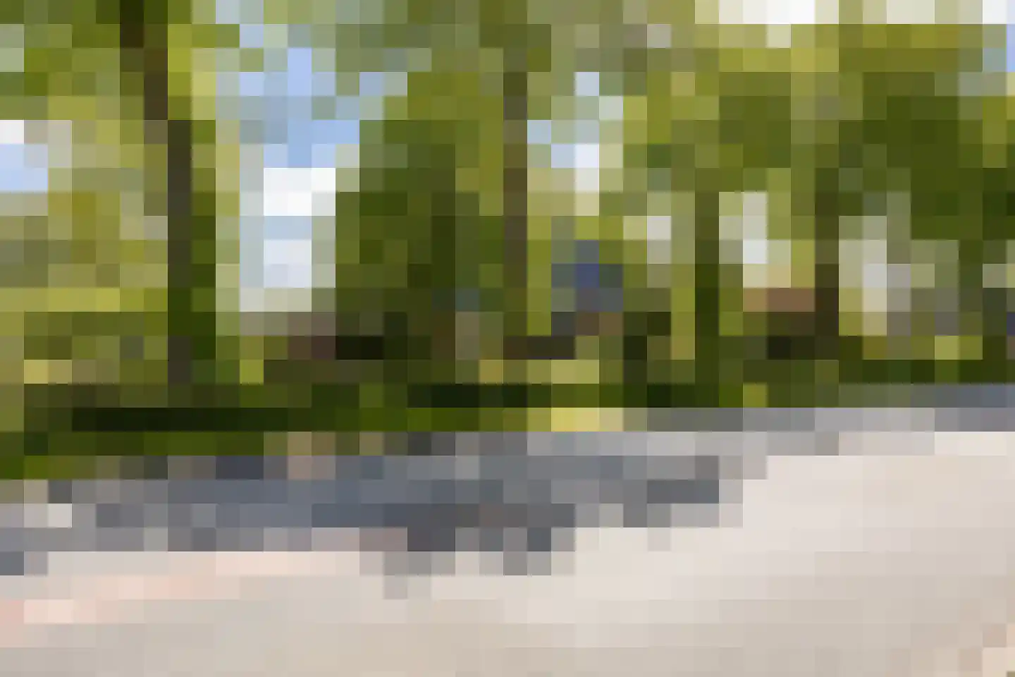 Provincialeweg 19 A Adorp thumbnail 11