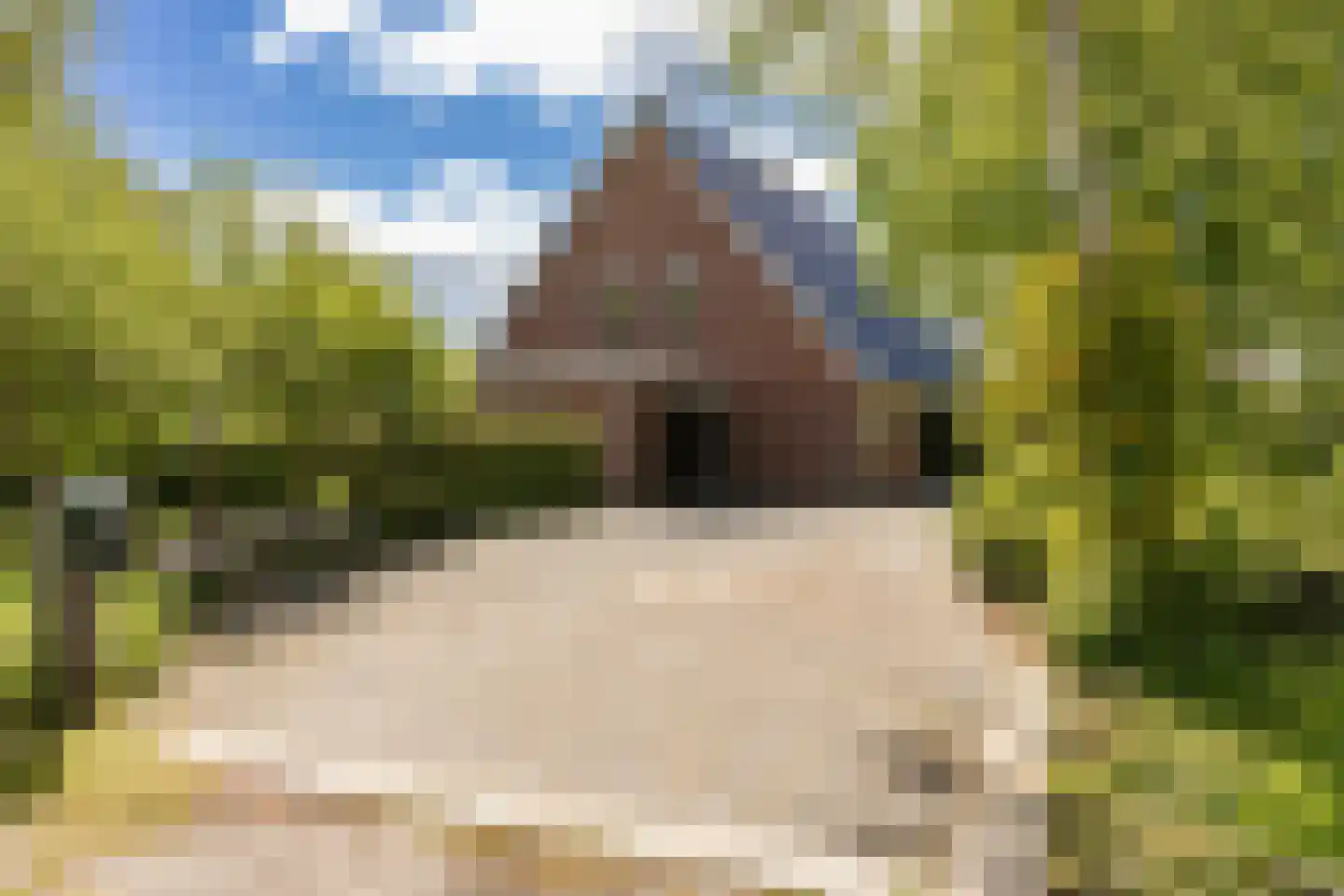 Provincialeweg 19 A Adorp thumbnail 14