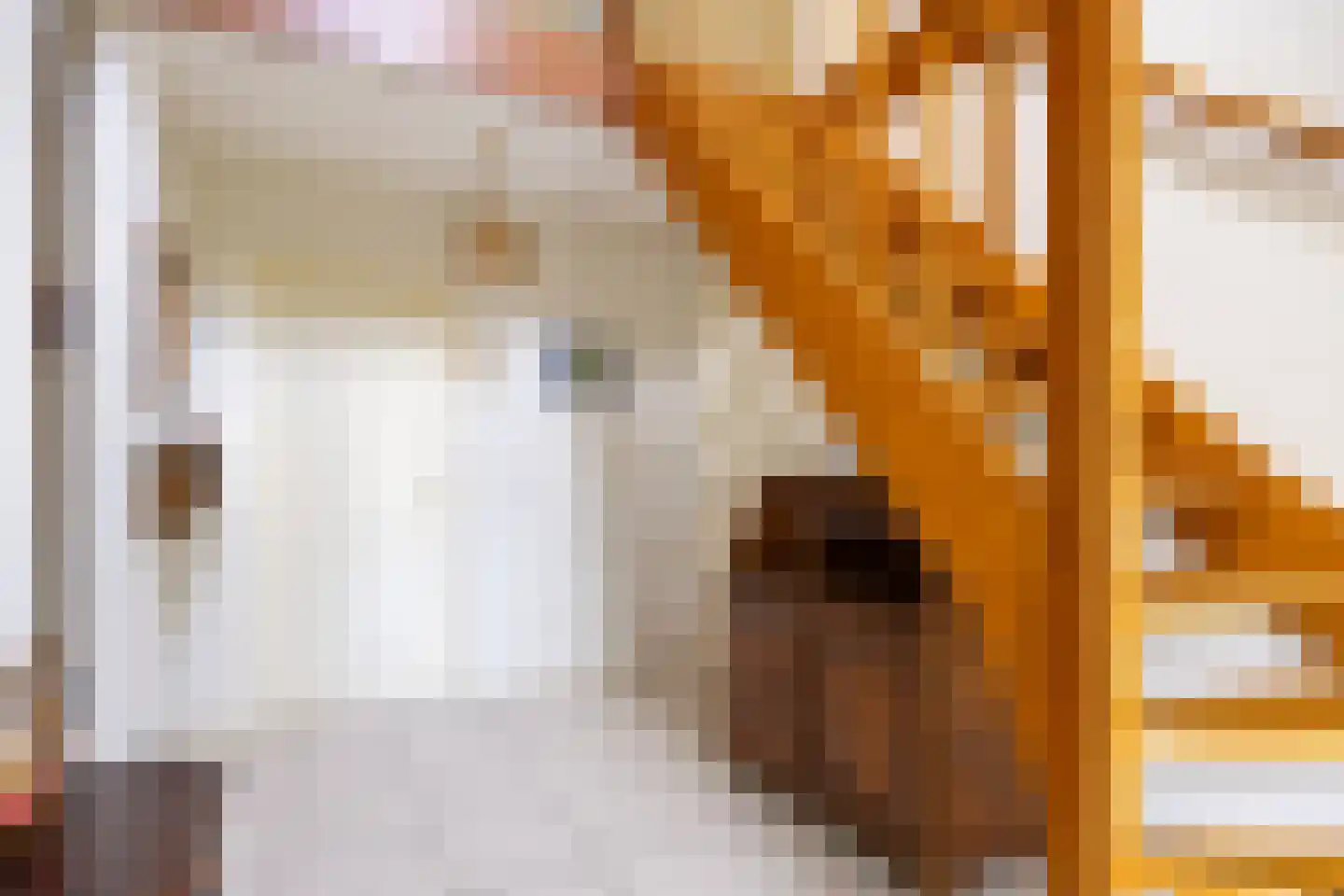 Provincialeweg 19 A Adorp thumbnail 20