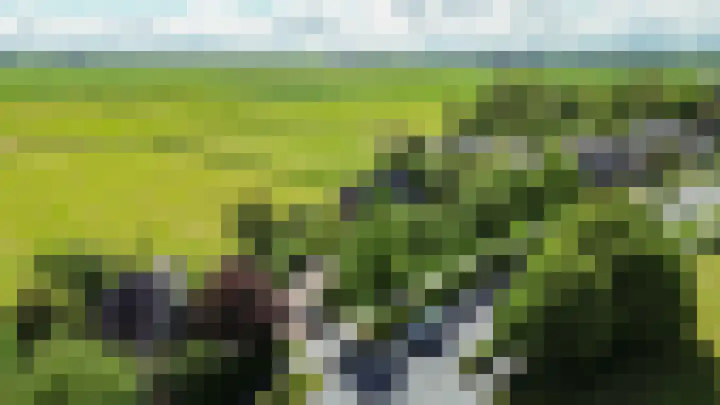 Provincialeweg 19 A Adorp thumbnail 5