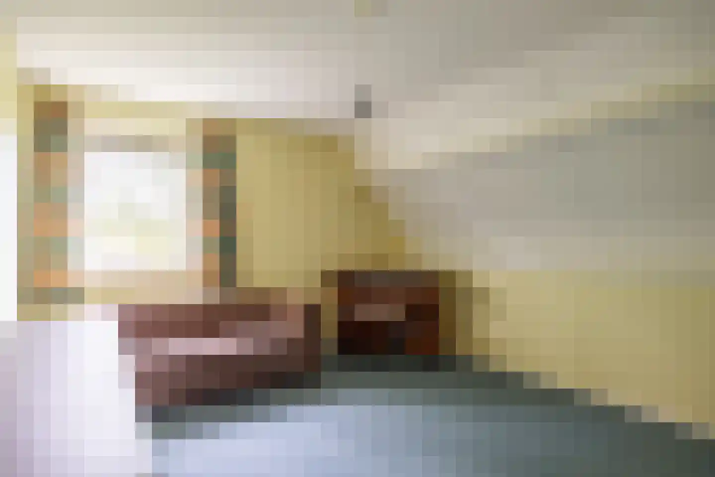 Provincialeweg 19 A Adorp thumbnail 59
