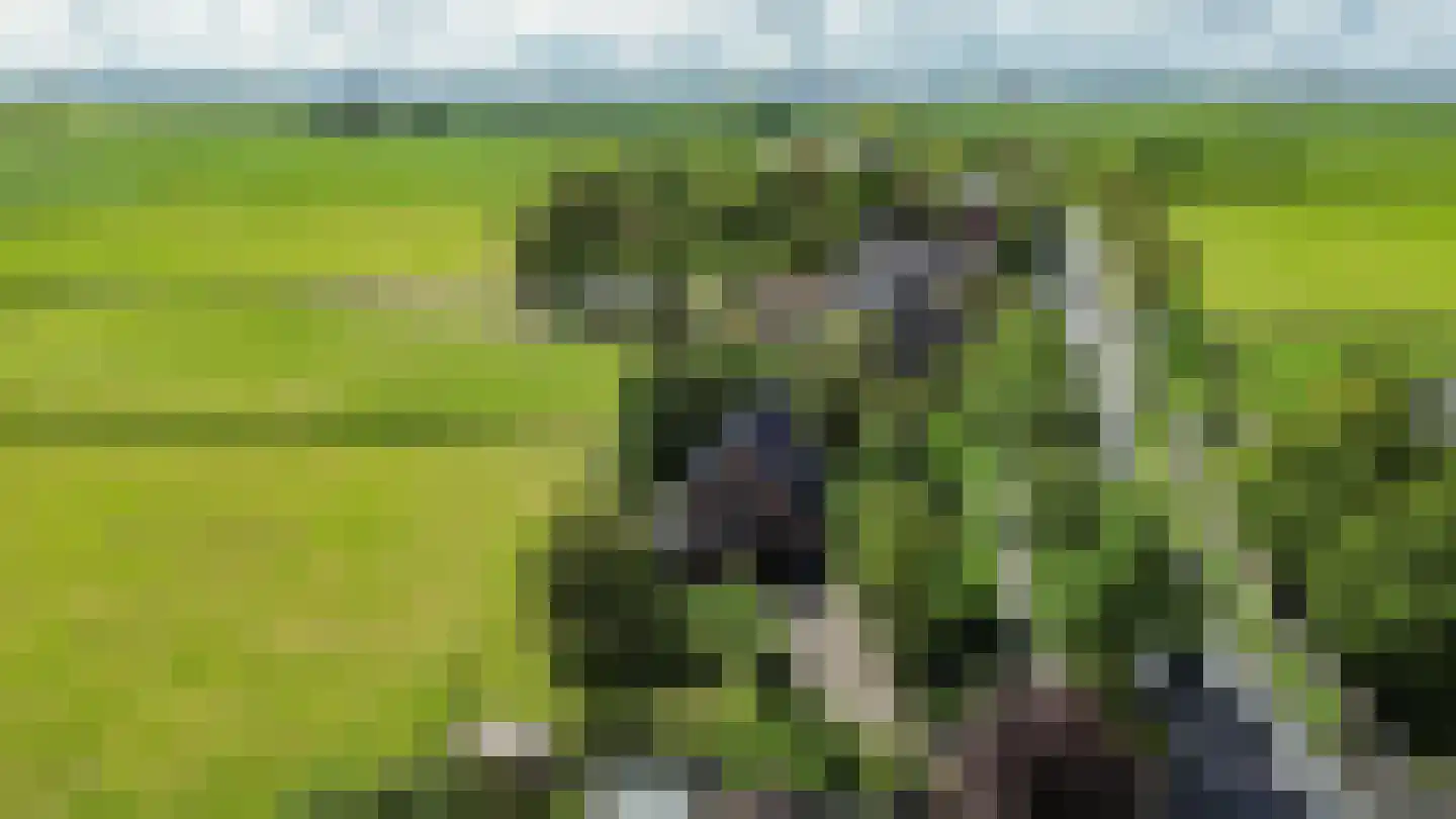 Provincialeweg 19 A Adorp thumbnail 6