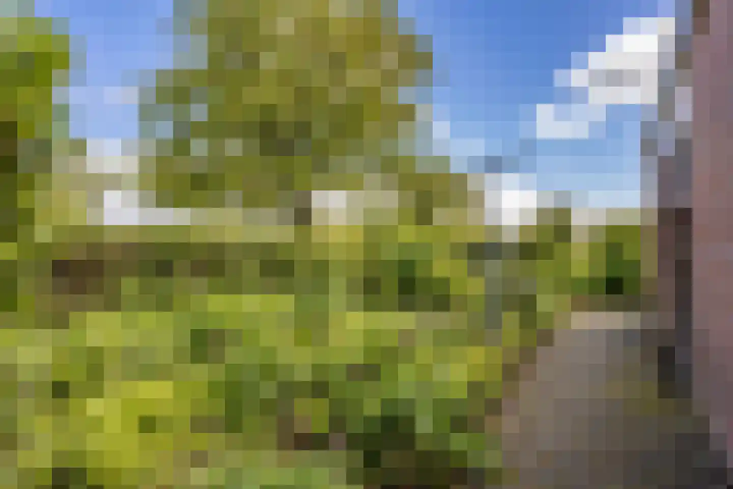 Provincialeweg 19 A Adorp thumbnail 63