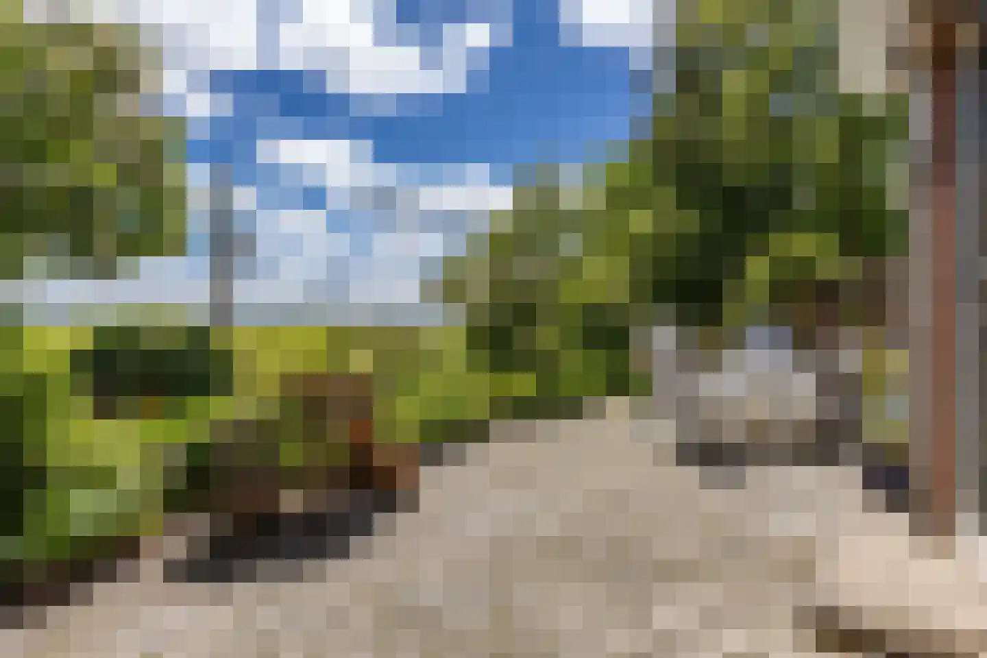 Provincialeweg 19 A Adorp thumbnail 64