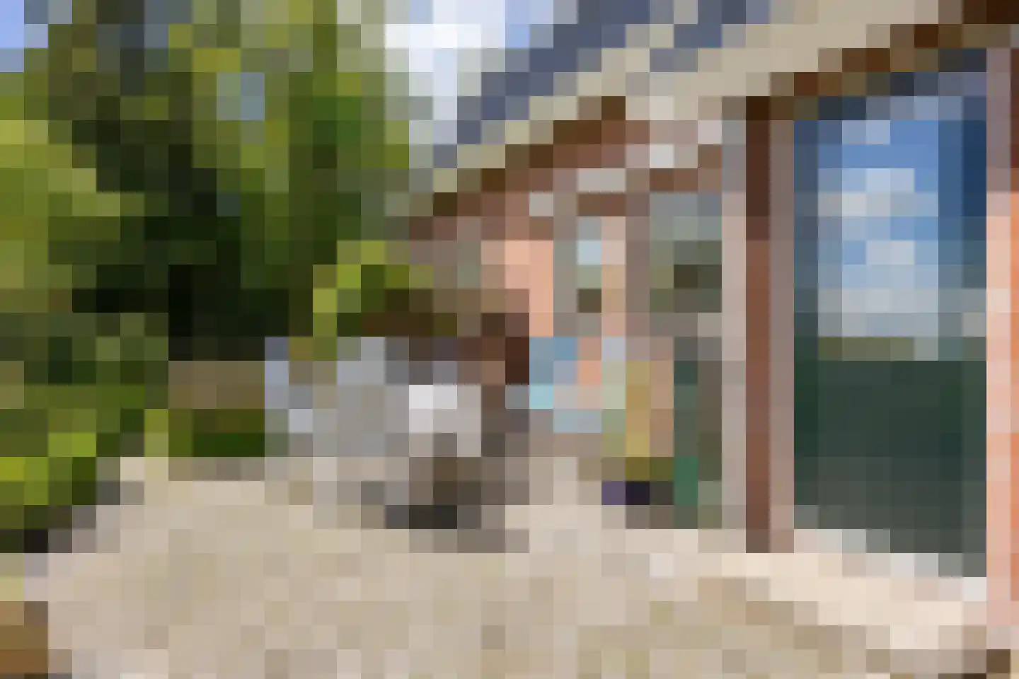 Provincialeweg 19 A Adorp thumbnail 65