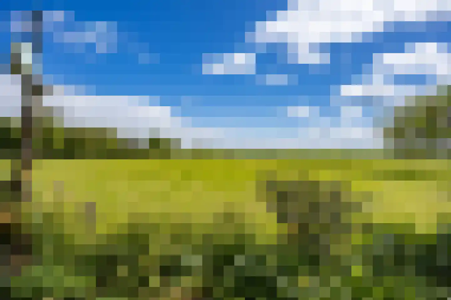 Provincialeweg 19 A Adorp thumbnail 67
