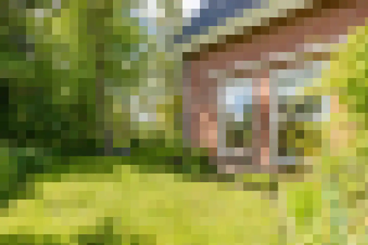 Provincialeweg 19 A Adorp thumbnail 68