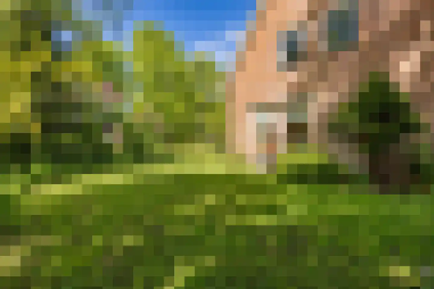 Provincialeweg 19 A Adorp thumbnail 69