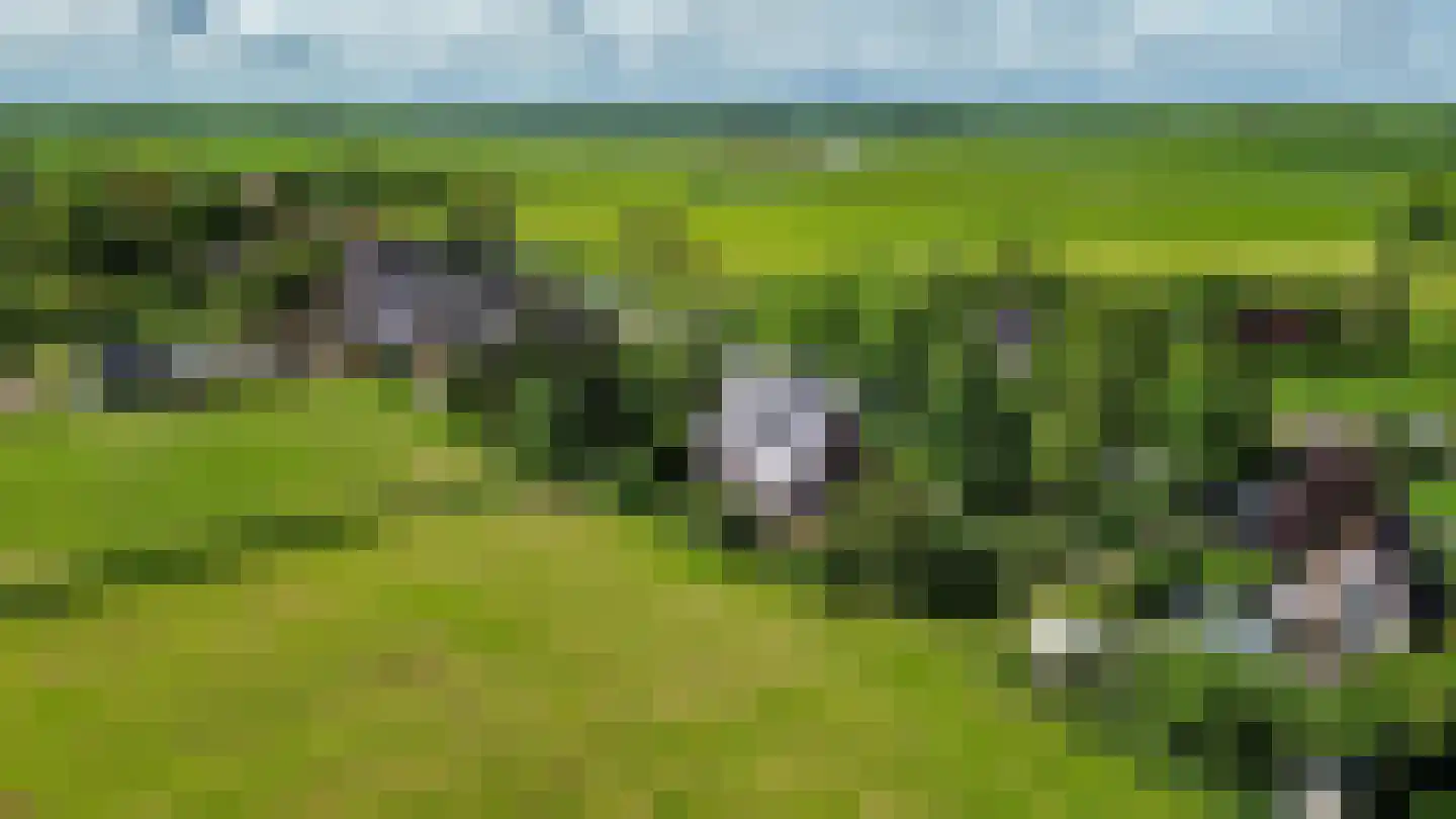 Provincialeweg 19 A Adorp thumbnail 7