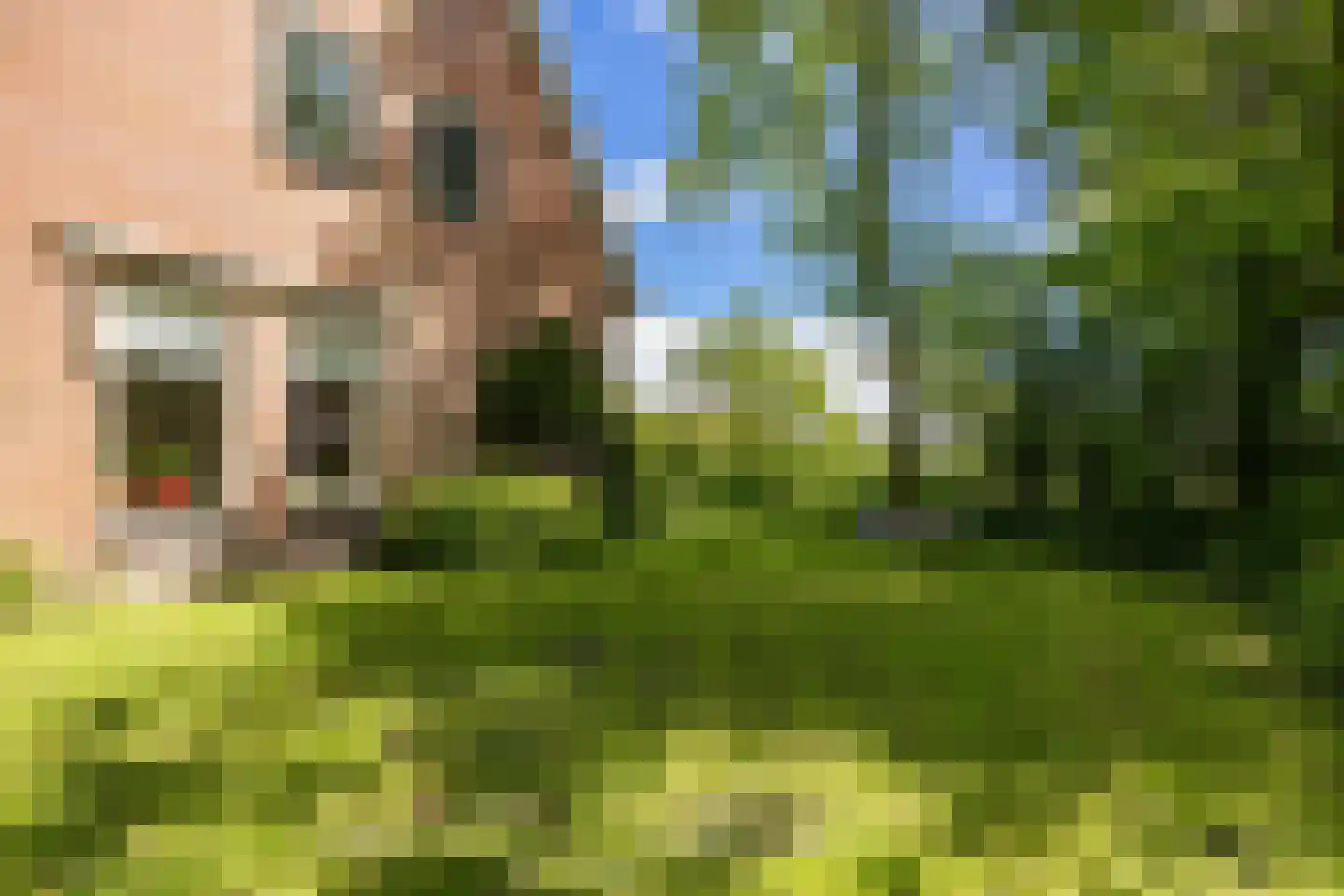 Provincialeweg 19 A Adorp thumbnail 70