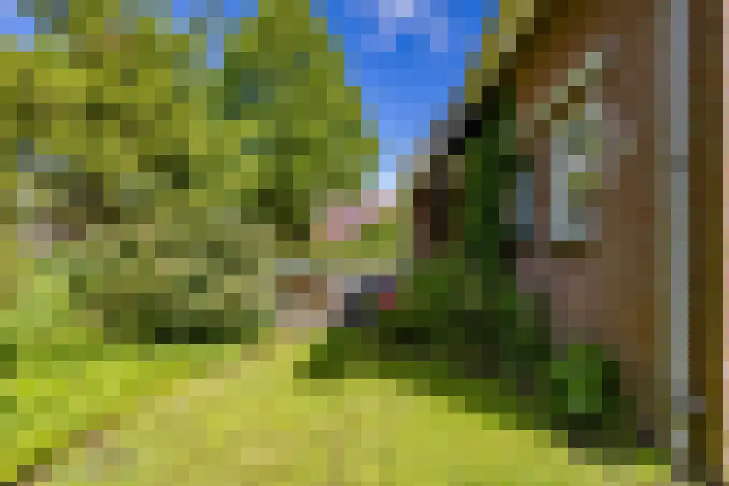 Provincialeweg 19 A Adorp thumbnail 71