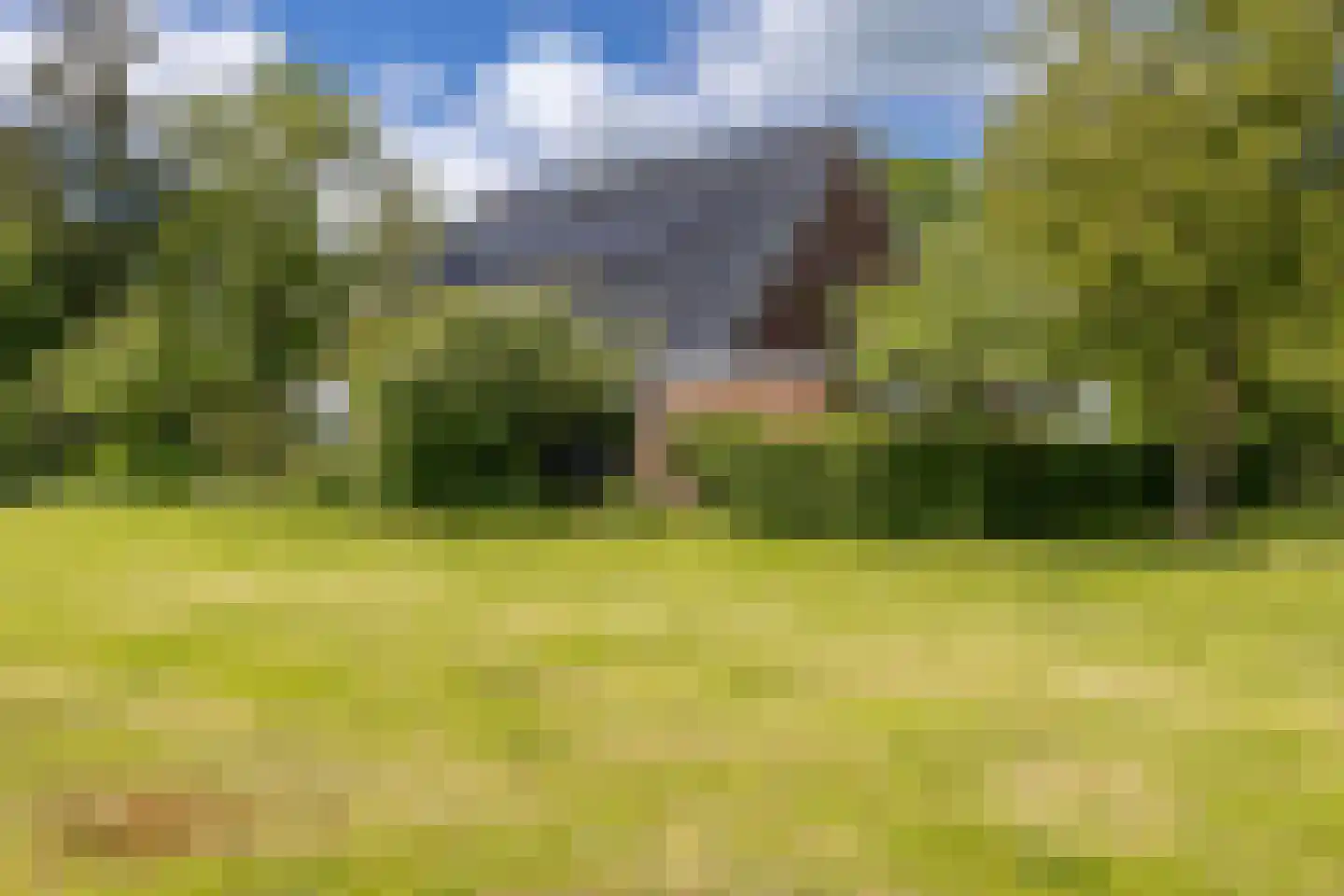 Provincialeweg 19 A Adorp thumbnail 72