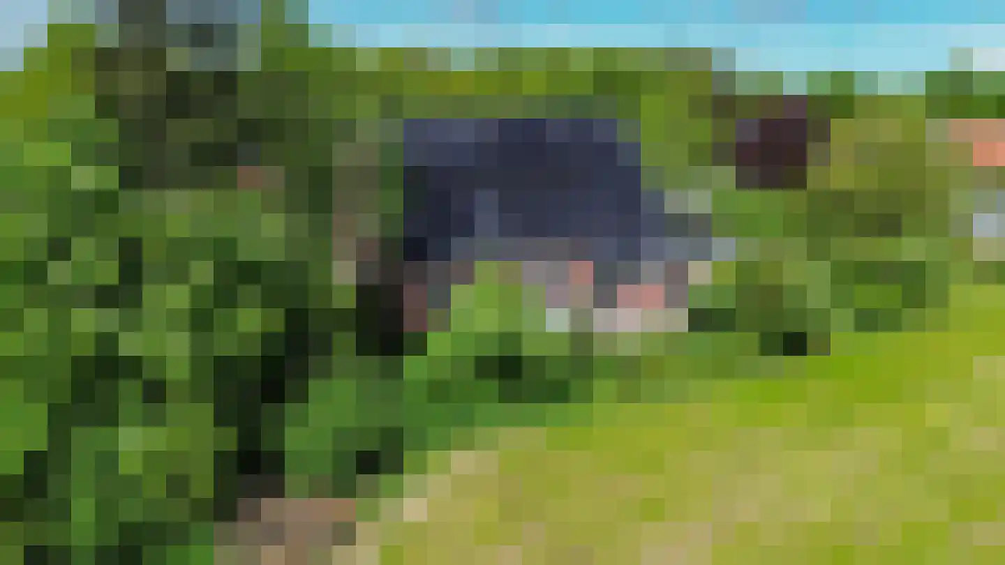Provincialeweg 19 A Adorp thumbnail 9