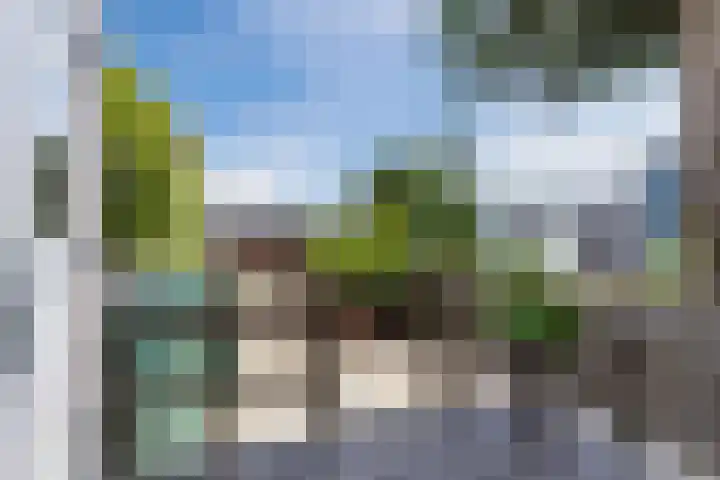 Provincialeweg 206 Zaandam thumbnail 45