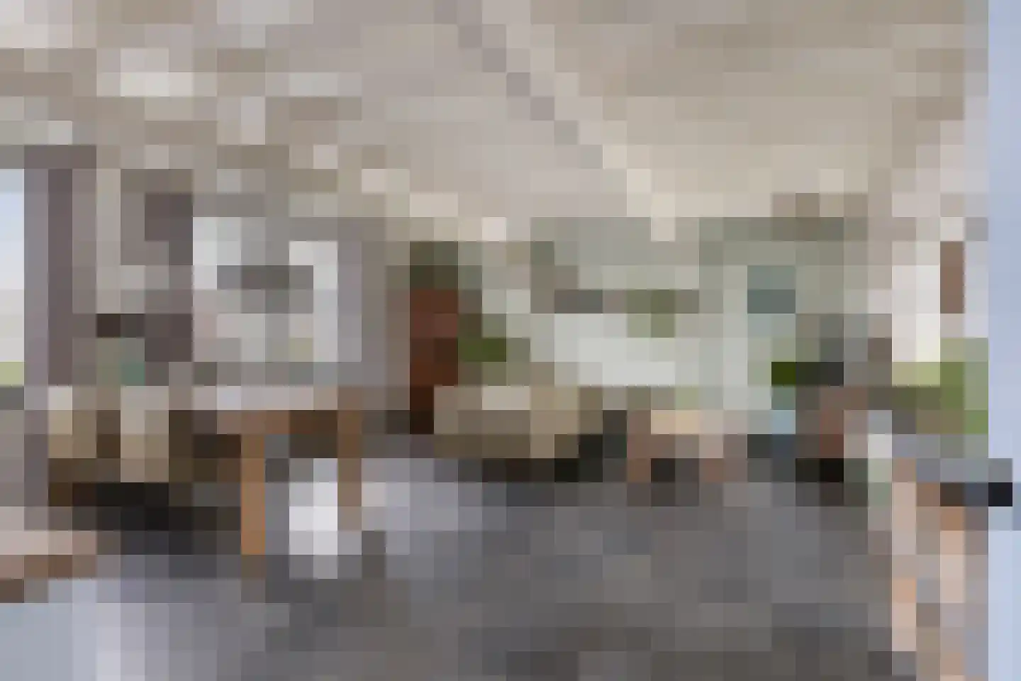 Provincialeweg 21 Geersdijk thumbnail 10