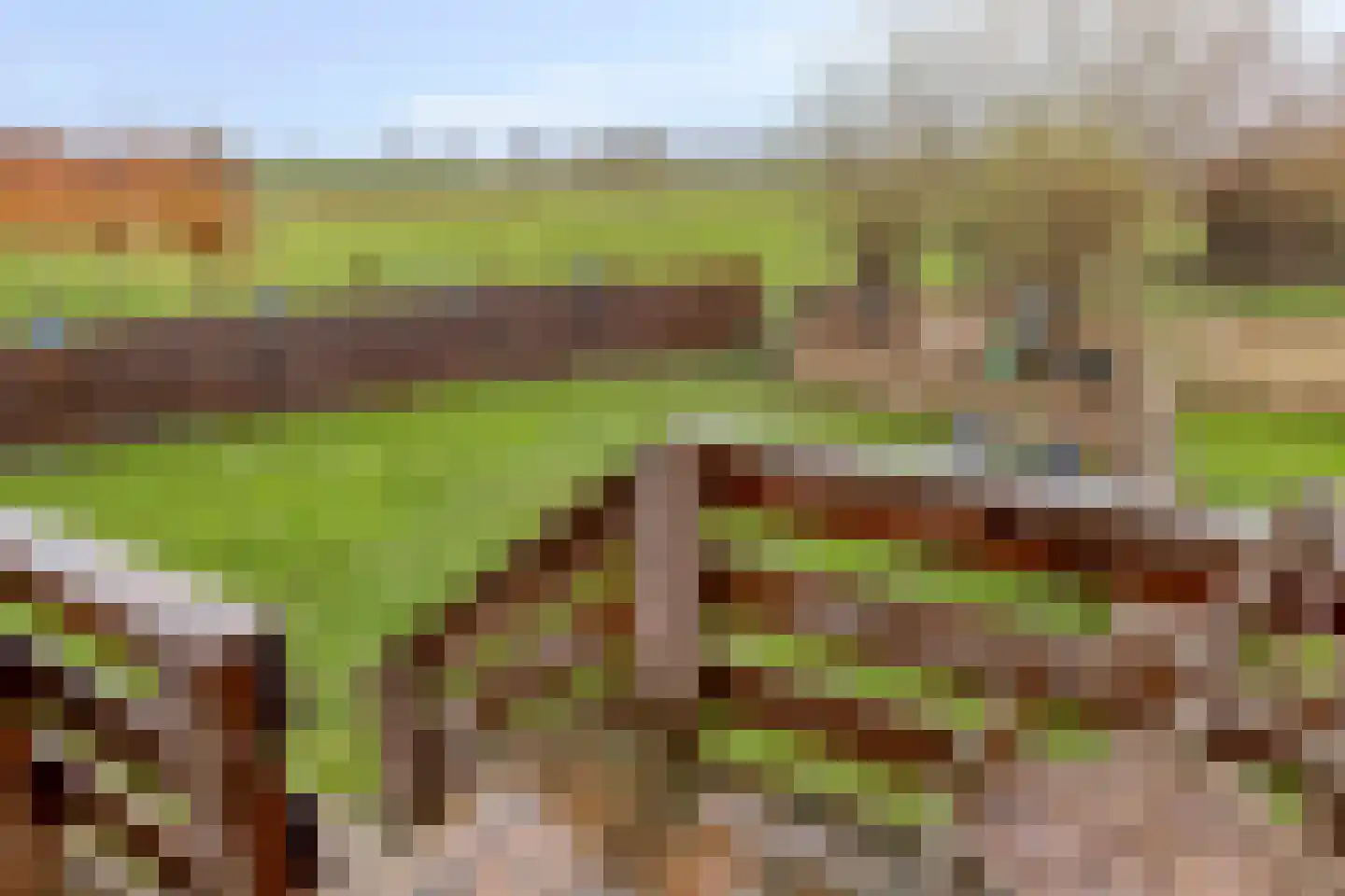 Provincialeweg 21 Geersdijk thumbnail 33