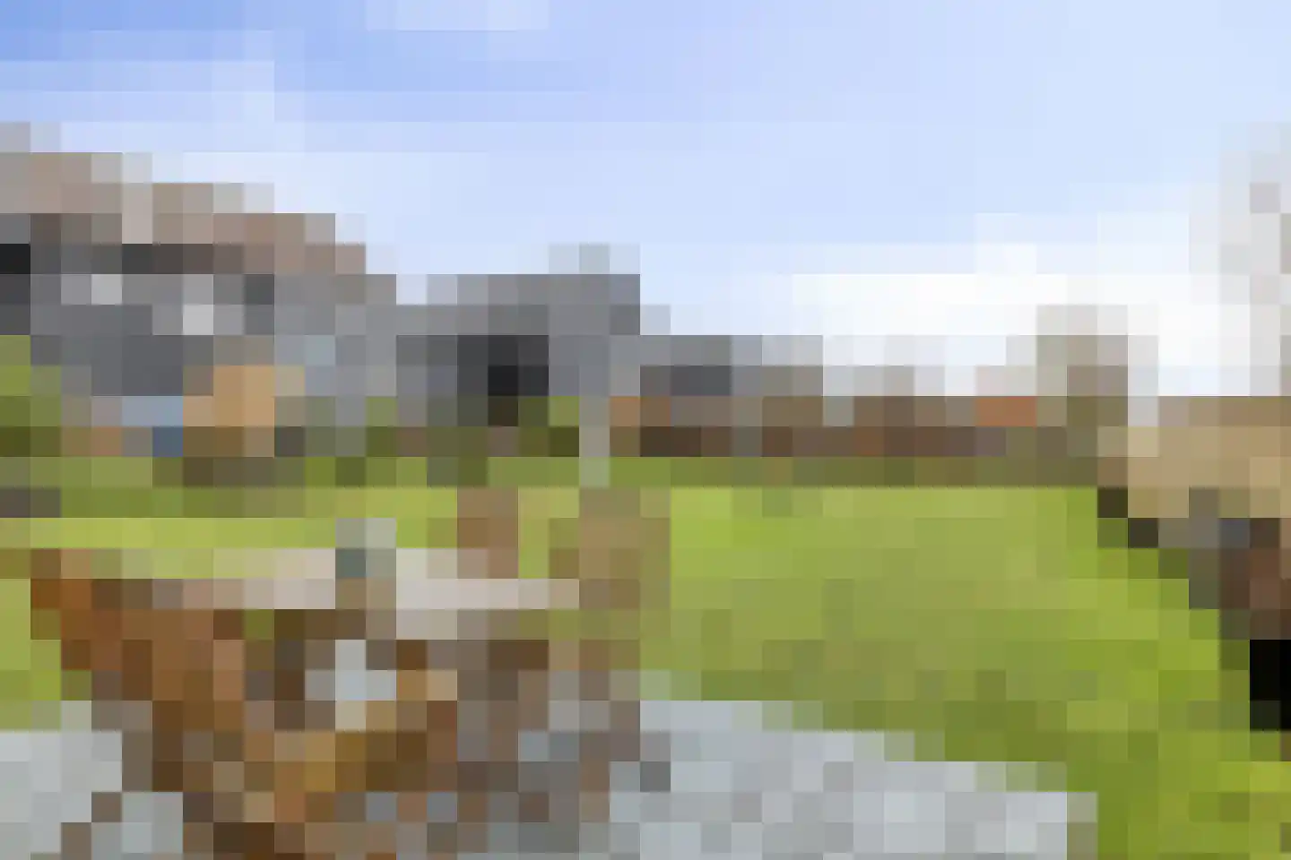 Provincialeweg 21 Geersdijk thumbnail 44