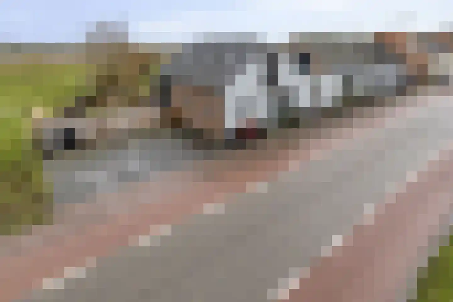 Provincialeweg 21 Geersdijk thumbnail 45