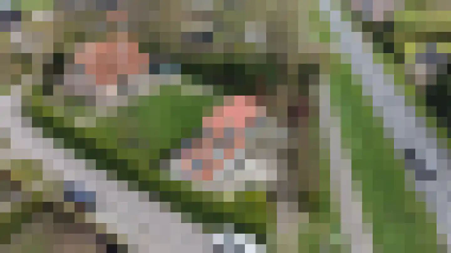 Provincialeweg 21 Groede thumbnail 27
