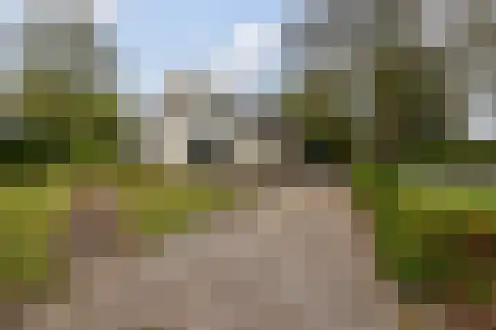 Provincialeweg 22 Opende thumbnail 40