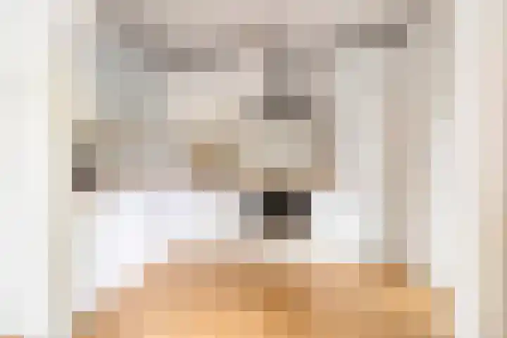 Provincialeweg 25 Heiligerlee thumbnail 18