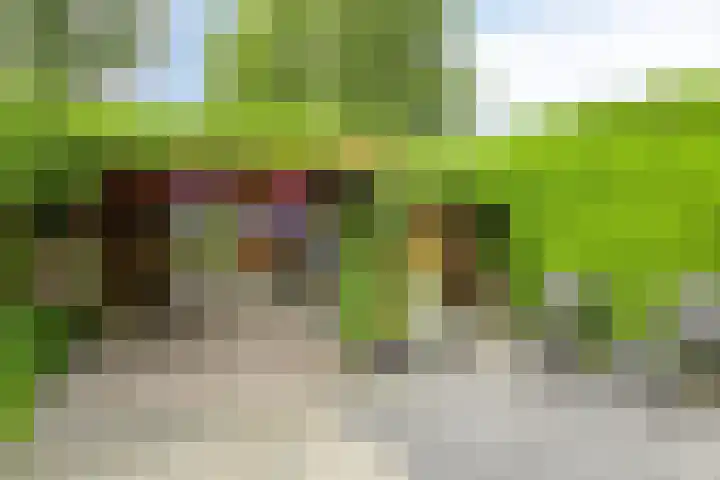 Provincialeweg 25 Heiligerlee thumbnail 33