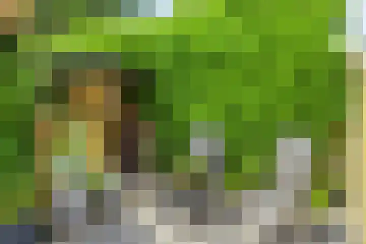 Provincialeweg 25 Heiligerlee thumbnail 34