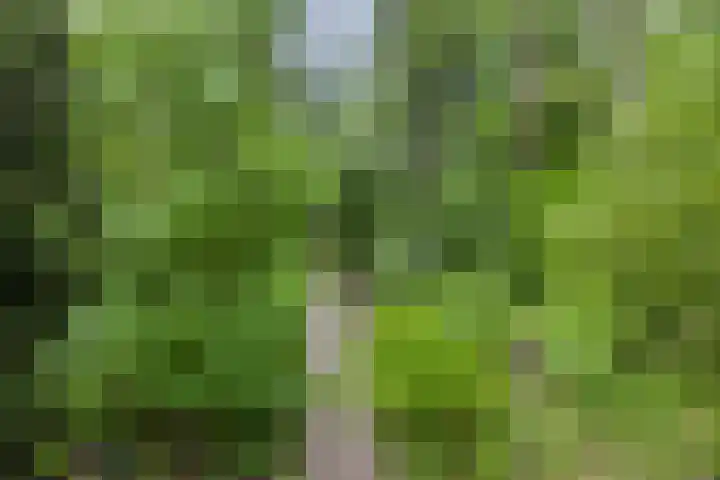 Provincialeweg 25 Heiligerlee thumbnail 36