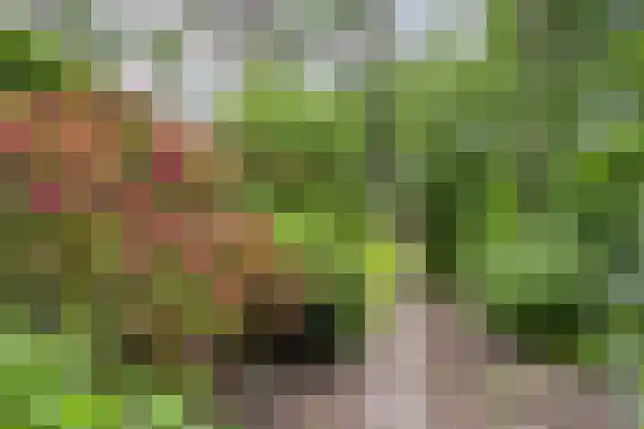 Provincialeweg 25 Heiligerlee thumbnail 37