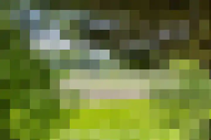 Provincialeweg 25 Heiligerlee thumbnail 38