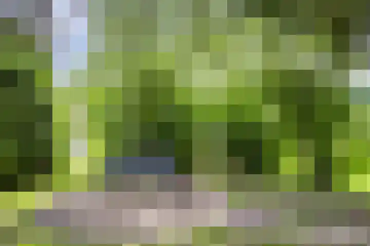 Provincialeweg 25 Heiligerlee thumbnail 39