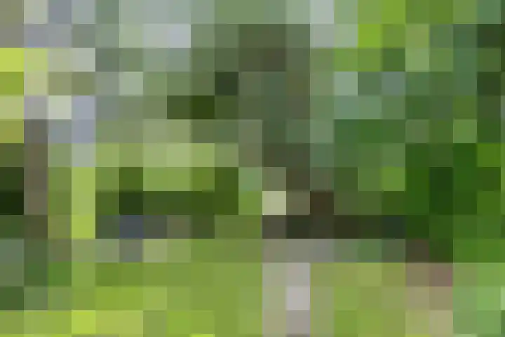 Provincialeweg 25 Heiligerlee thumbnail 4