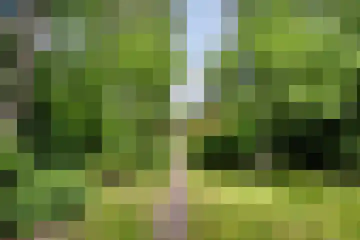 Provincialeweg 25 Heiligerlee thumbnail 40