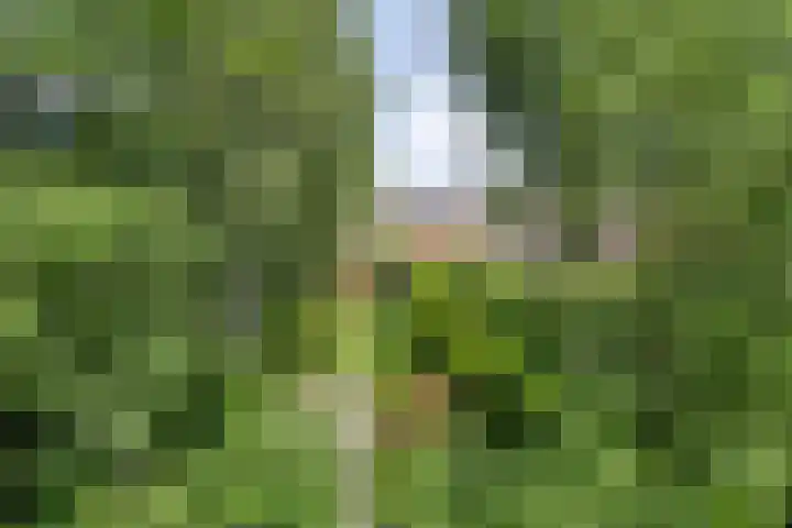 Provincialeweg 25 Heiligerlee thumbnail 41