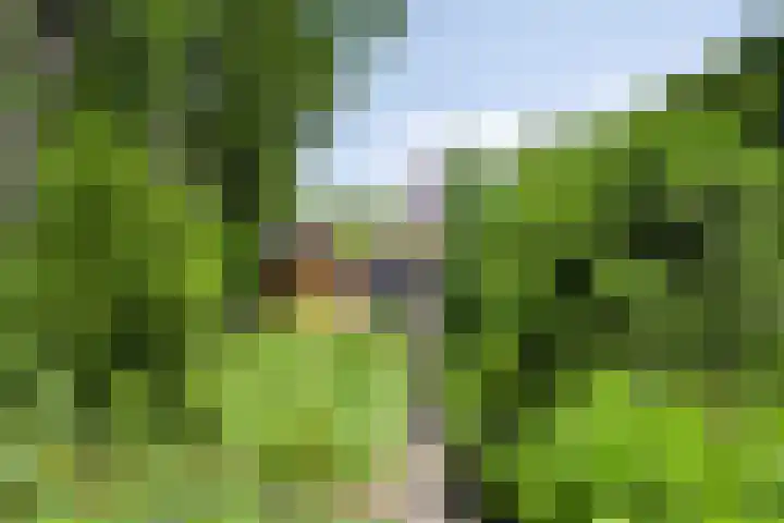 Provincialeweg 25 Heiligerlee thumbnail 42