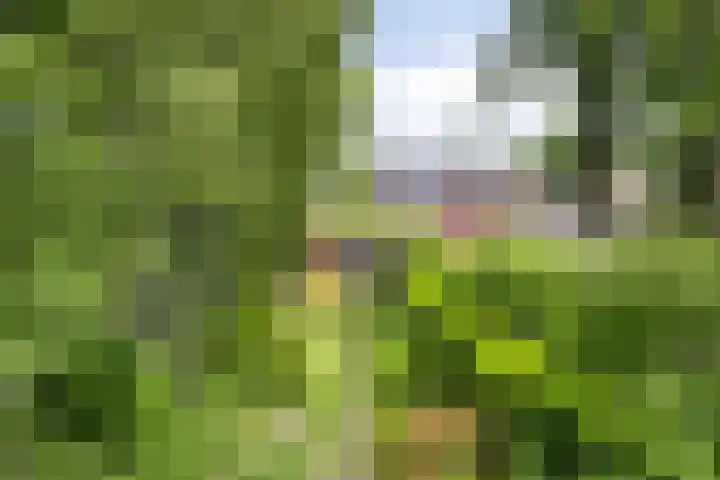 Provincialeweg 25 Heiligerlee thumbnail 46
