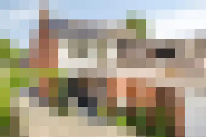 Provincialeweg 25 Heiligerlee thumbnail 5