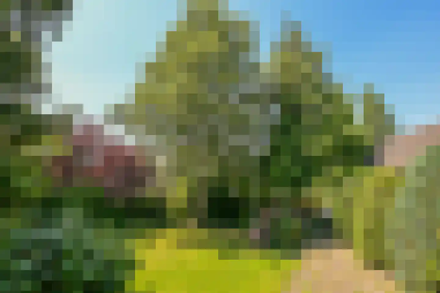 Provincialeweg 250 Zaandam thumbnail 27