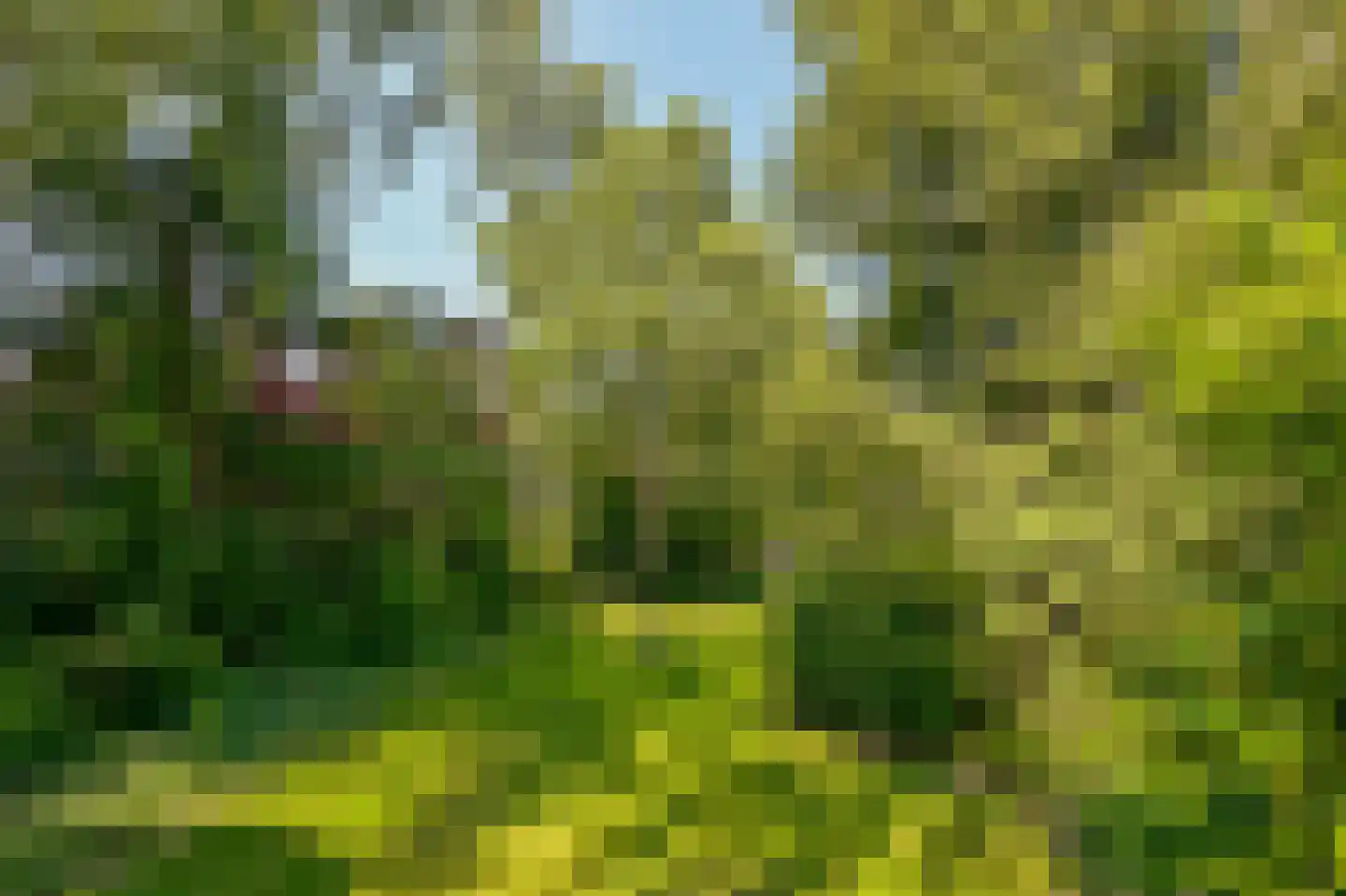 Provincialeweg 250 Zaandam thumbnail 31