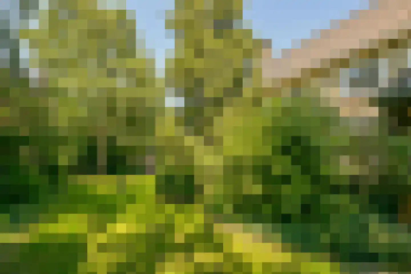 Provincialeweg 250 Zaandam thumbnail 32