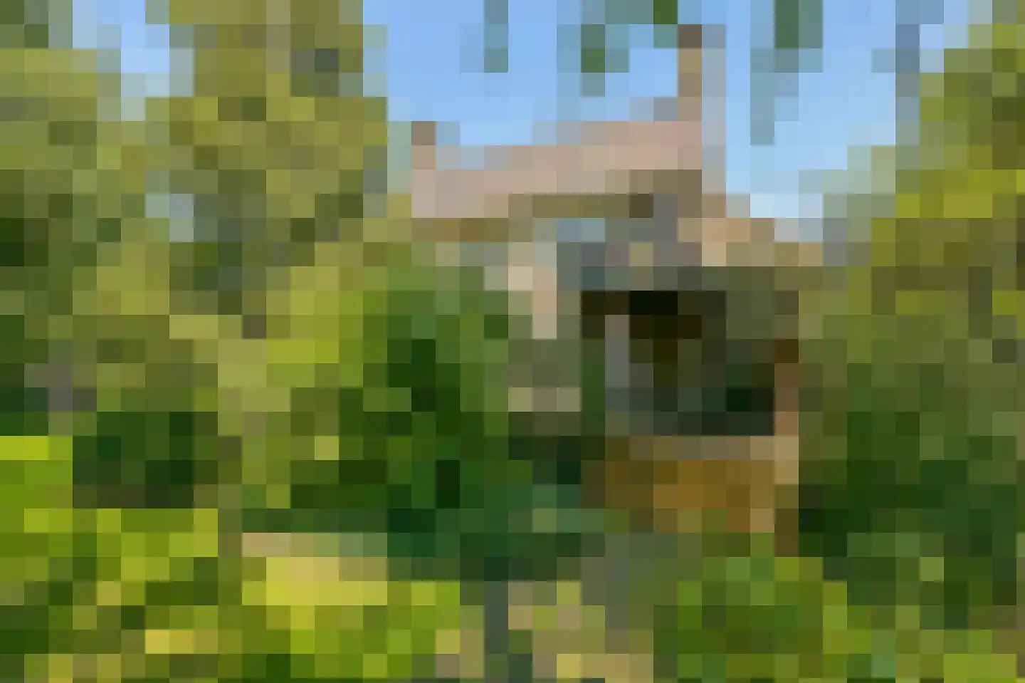 Provincialeweg 250 Zaandam thumbnail 33