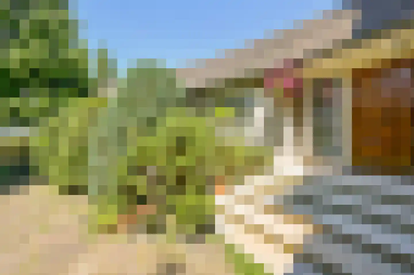 Provincialeweg 250 Zaandam thumbnail 34